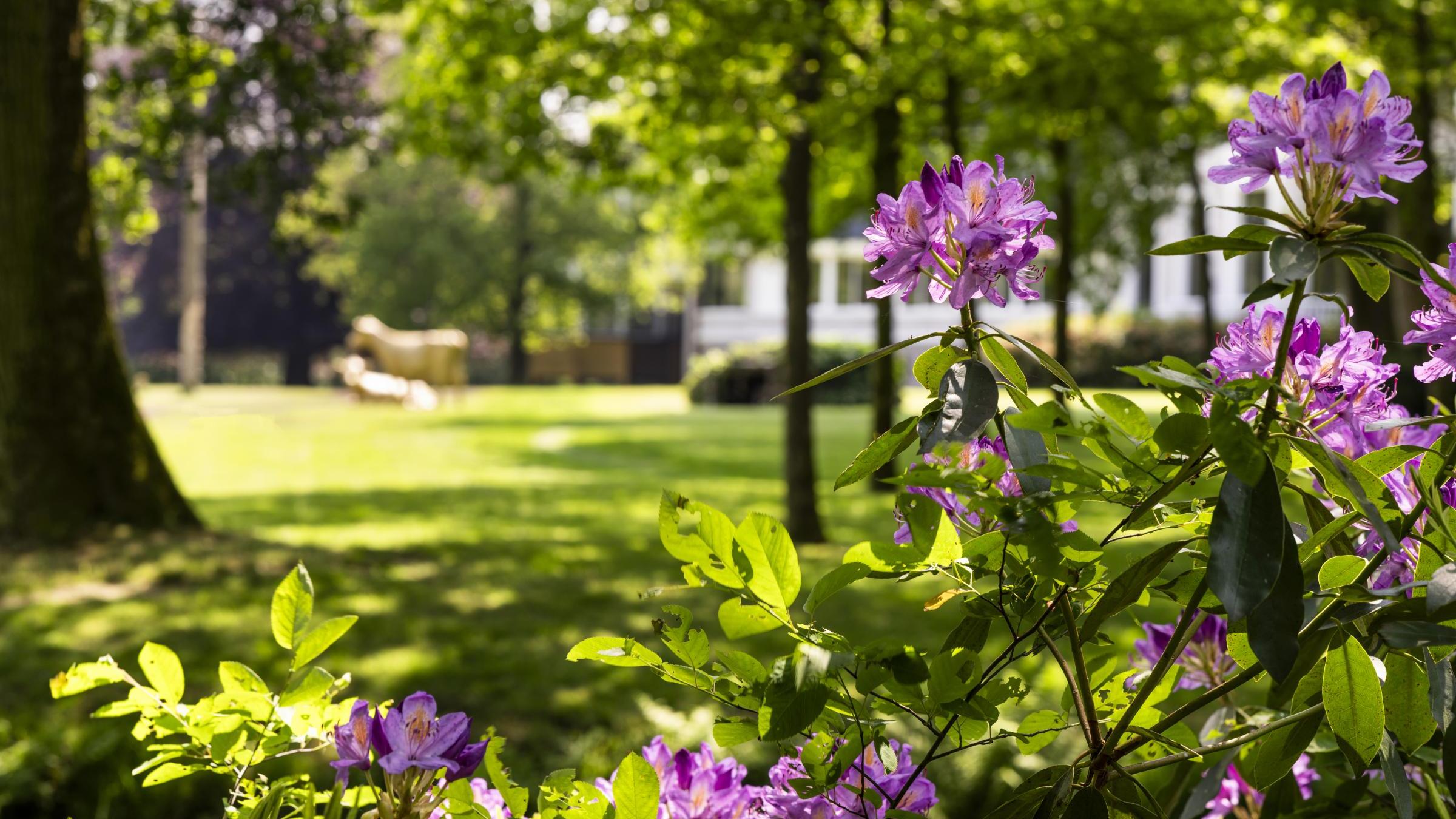 5-day Moai Fryslân package