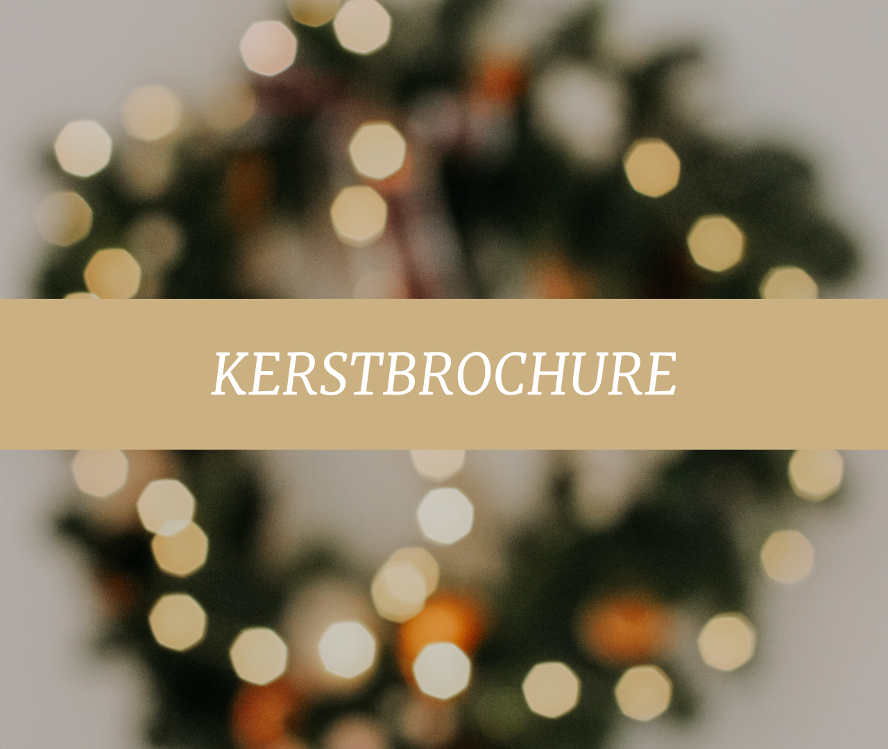 Klik hieronder voor de kerstbrochure