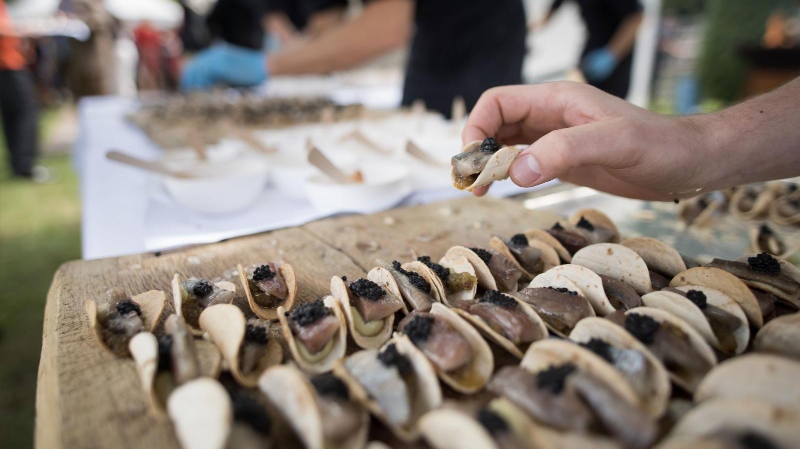 03-haring-hand-serveren-event